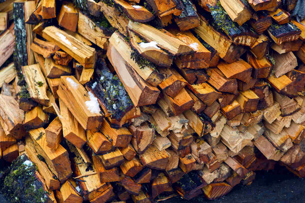 A large pile of wet firewood
