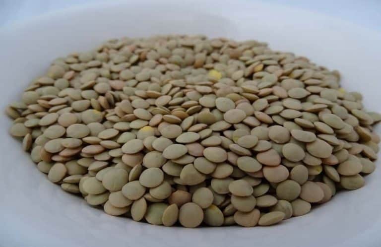 bowl of lentils
