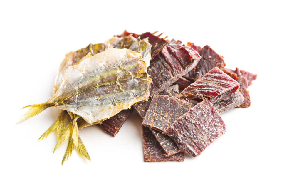 How to Make Fish Jerky at Home or in the Wild 4 Step Guide Survival Freedom