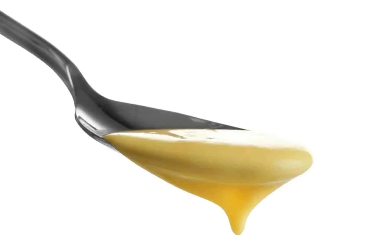 Cheese Sauce on a Spoon