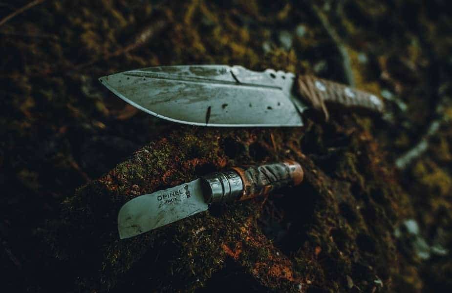 Scandi vs. Convex Which Is Better for Bushcraft? Survival Freedom