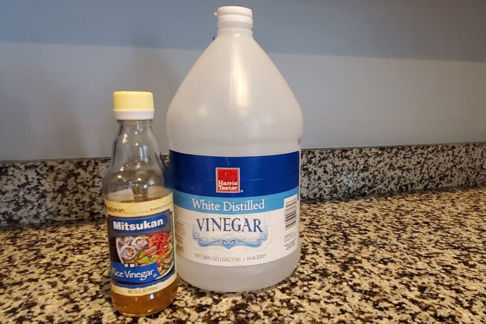 Can I Use Rice Vinegar Instead of White Vinegar? Survival Freedom