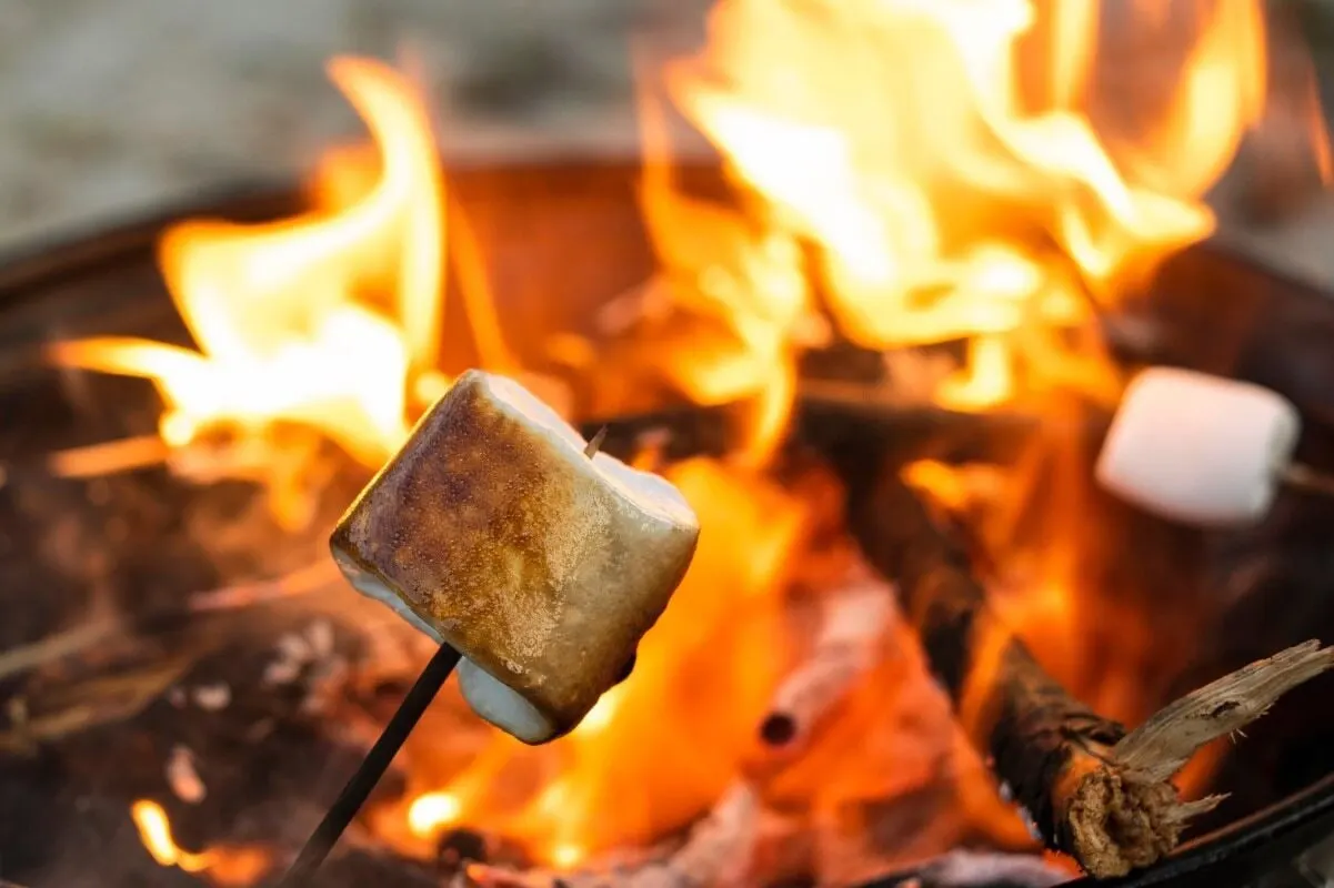 Closeup of marshmallows being roasted on a fire
