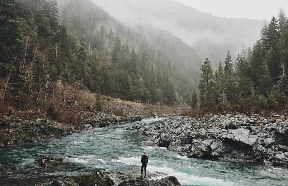 Man Standing on Stream Bank in Wilderness