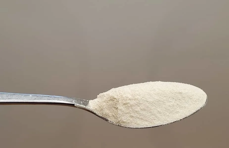 Protein Powder on a Spoon