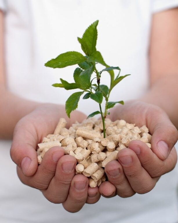 What Is the Safest Litter for Cats? (And Humans) Survival Freedom