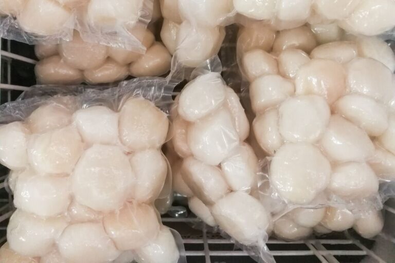 Can You Freeze Fresh Scallops? What You Need To Know Survival Freedom