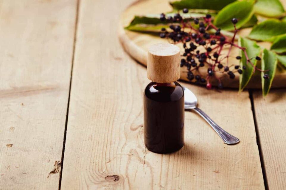 Does Elderberry Syrup Need to Be Refrigerated? Survival Freedom