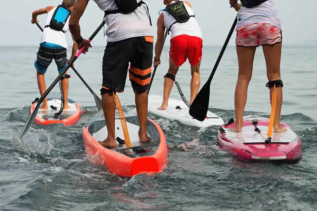 Four People Vigorously Stand Up Paddleboarding on the Sea