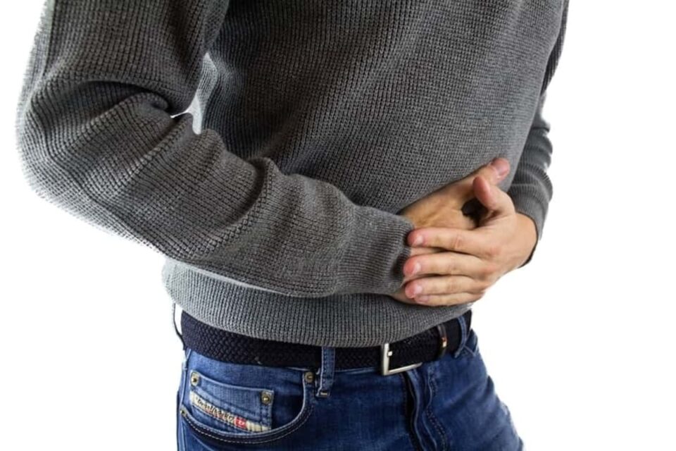 6 Best Alcoholic Drinks That Are Easy on the Stomach Survival Freedom