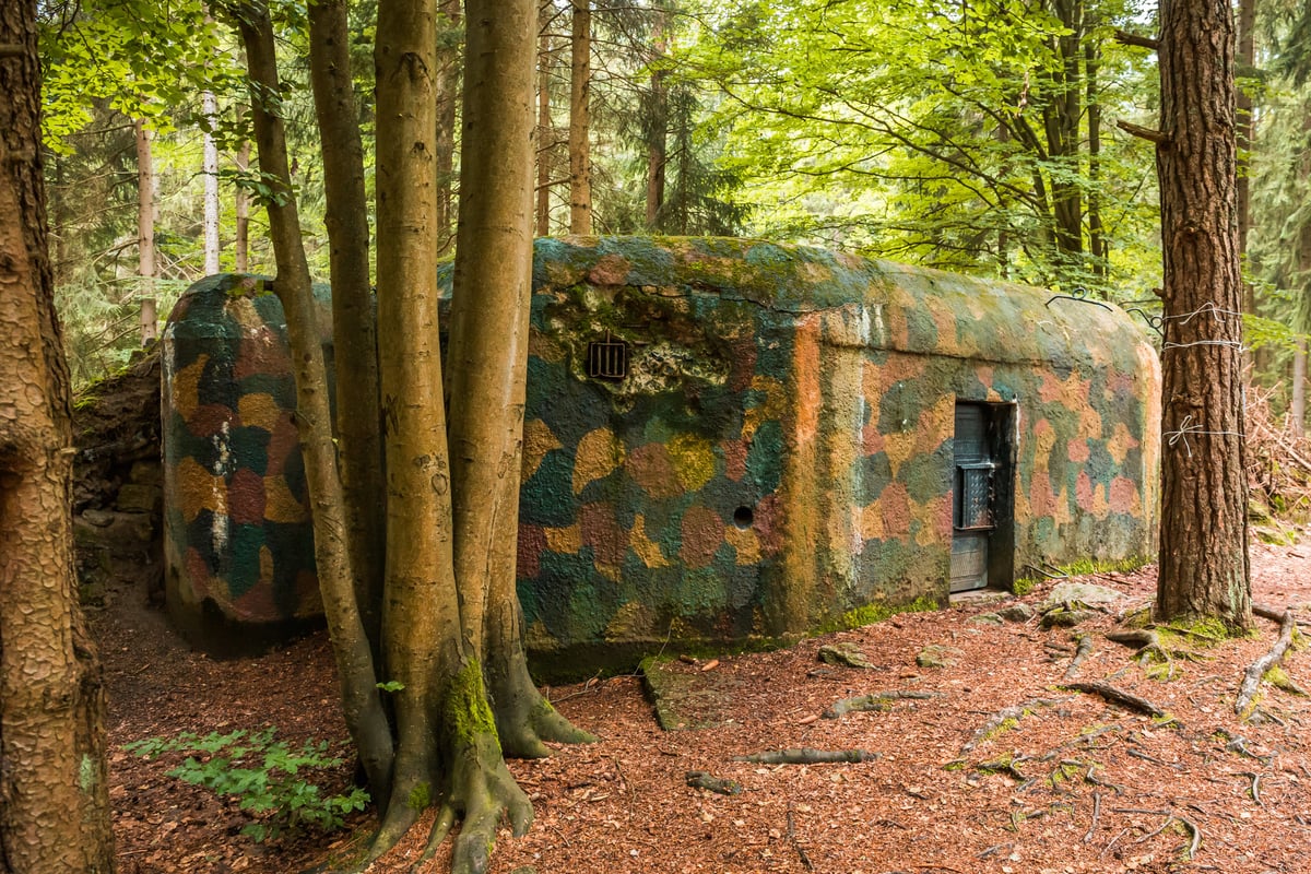 How Much Does a Survival Bunker Cost? Build vs. Buy Survival Freedom