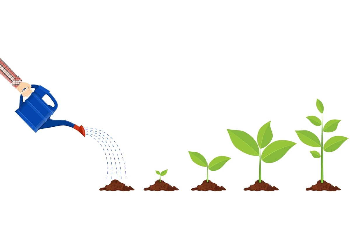How Long Does It Take for a Plant to Grow? Complete Guide Survival