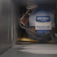Frozen-Turkey-in-a-Deep-Freezer