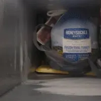 Frozen-Turkey-in-a-Deep-Freezer