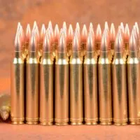 Loaded cartridges 300 Win Mag