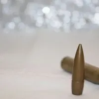 30-06 Ammo Cartridge Sections