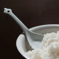 Steaming bowl of sticky white rice