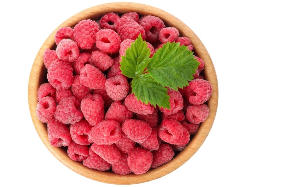 The 10 Best Pomegranate Substitutes - Survival Freedom