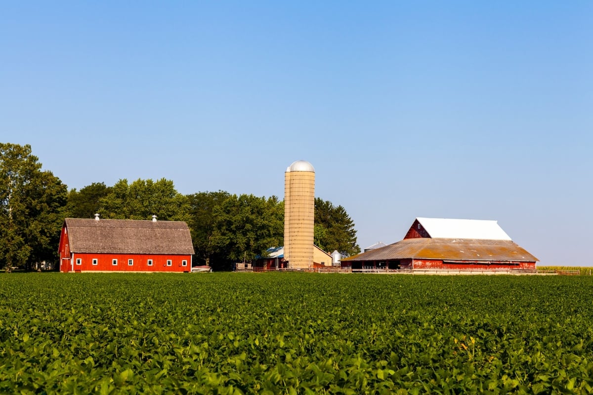 Plantation vs. a Farm What Is the Difference? Survival Freedom