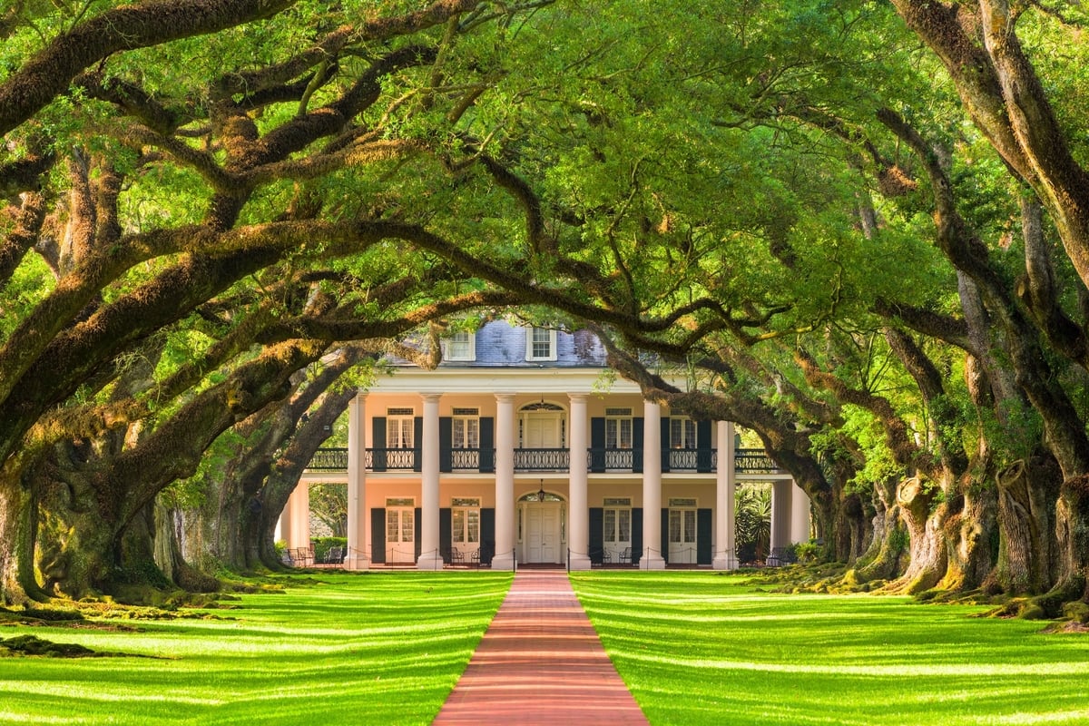 Plantation Vs A Farm What Is The Difference Survival Freedom