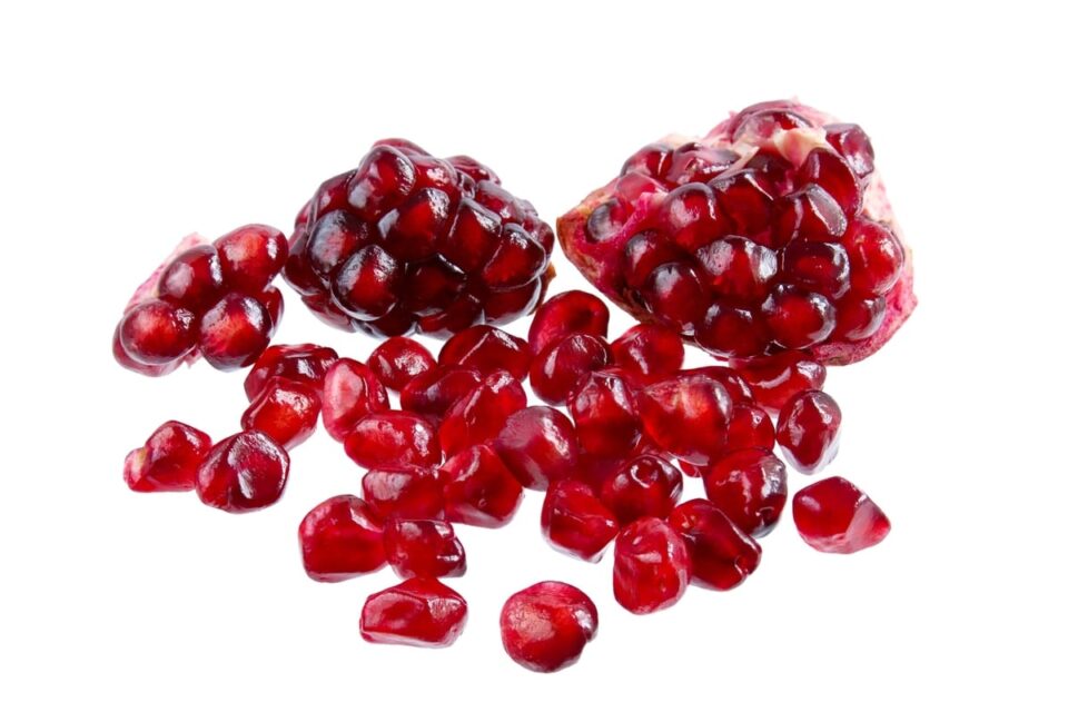 14 Best Mixers For Crown Apple Survival Freedom