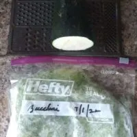 Frozen Zucchini a Grater and Fresh Zucchini
