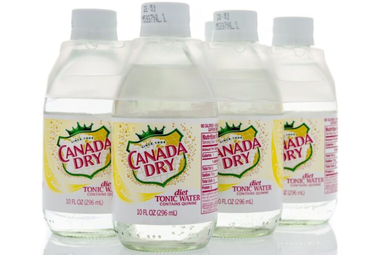 The 10 Best Substitutes for Lemon Lime Soda in a Recipe Survival Freedom