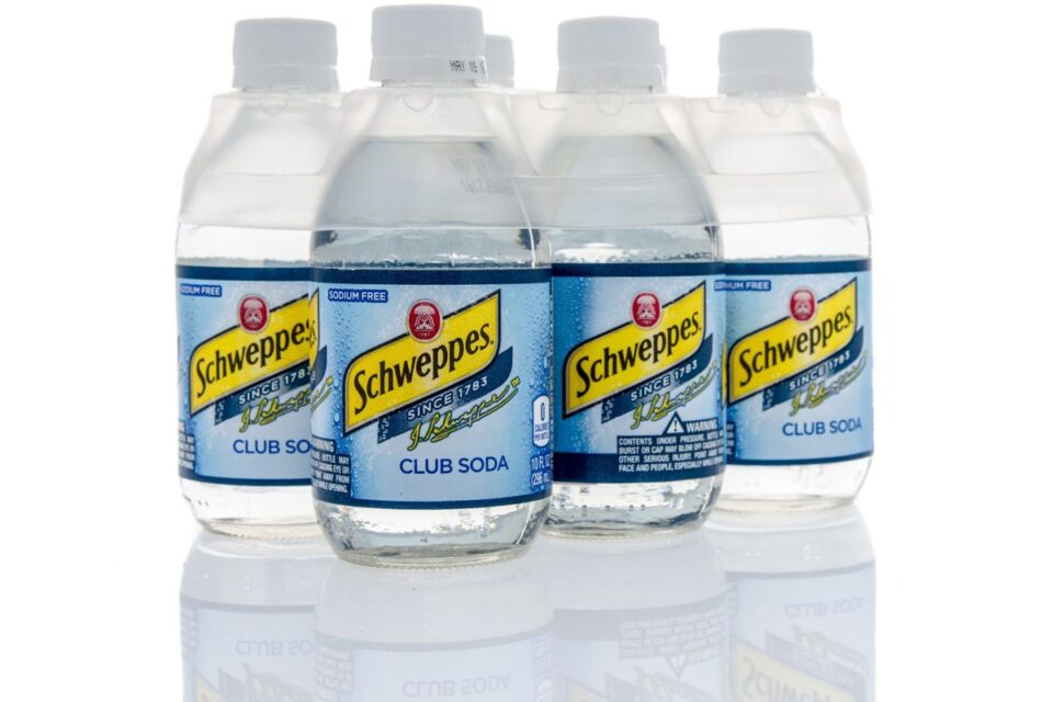 The 10 Best Substitutes for Lemon Lime Soda in a Recipe Survival Freedom