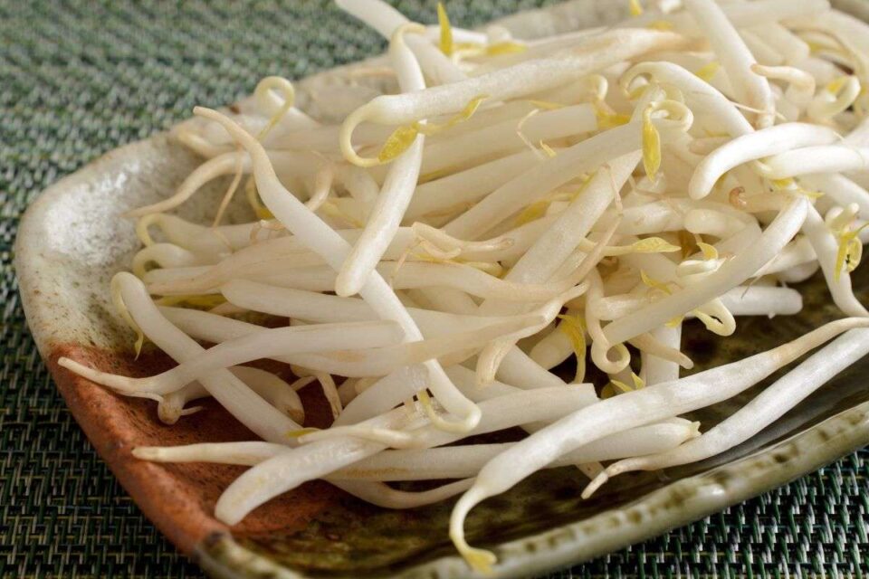 The 9 Best Substitutes for Bamboo Shoots in a Recipe Survival Freedom