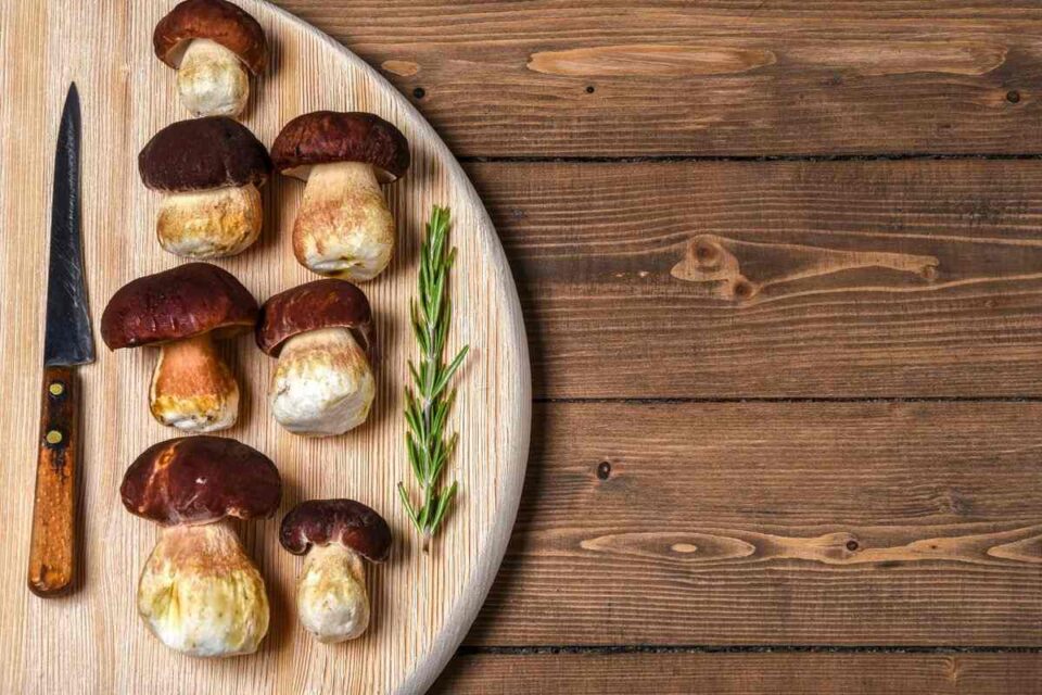 The 6 Best Substitutes for Truffle Butter Survival Freedom