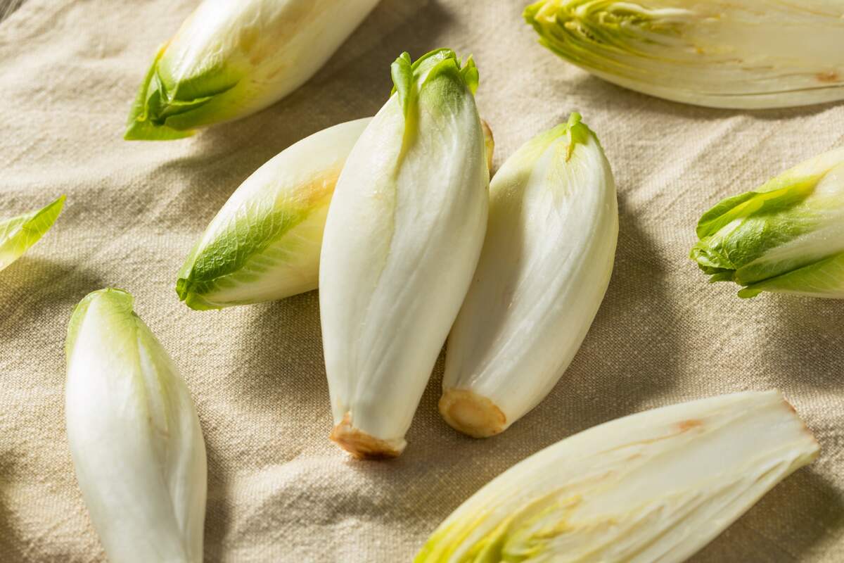 The 5 Best Frisée Substitutes Survival Freedom