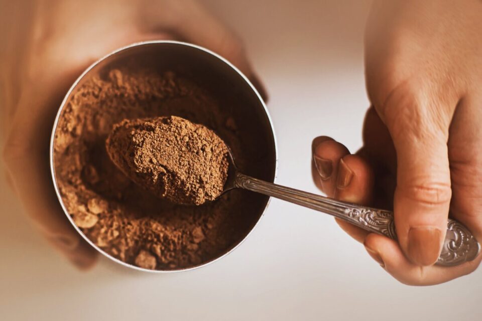 The 10 Most Suitable Substitutes For Cocoa Powder Survival Freedom