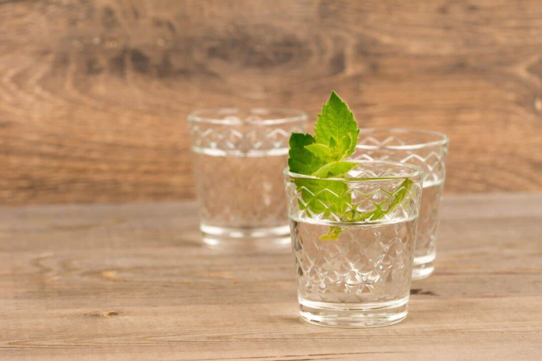 The 13 Best Substitutes for Peppermint Extract Survival Freedom