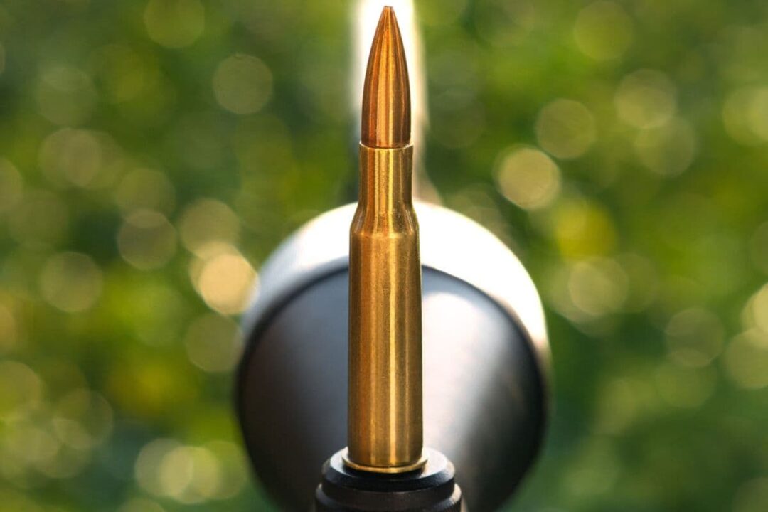 Can You Shoot .308 in a 7.62 Rifle? (Should You Try?) Survival Freedom