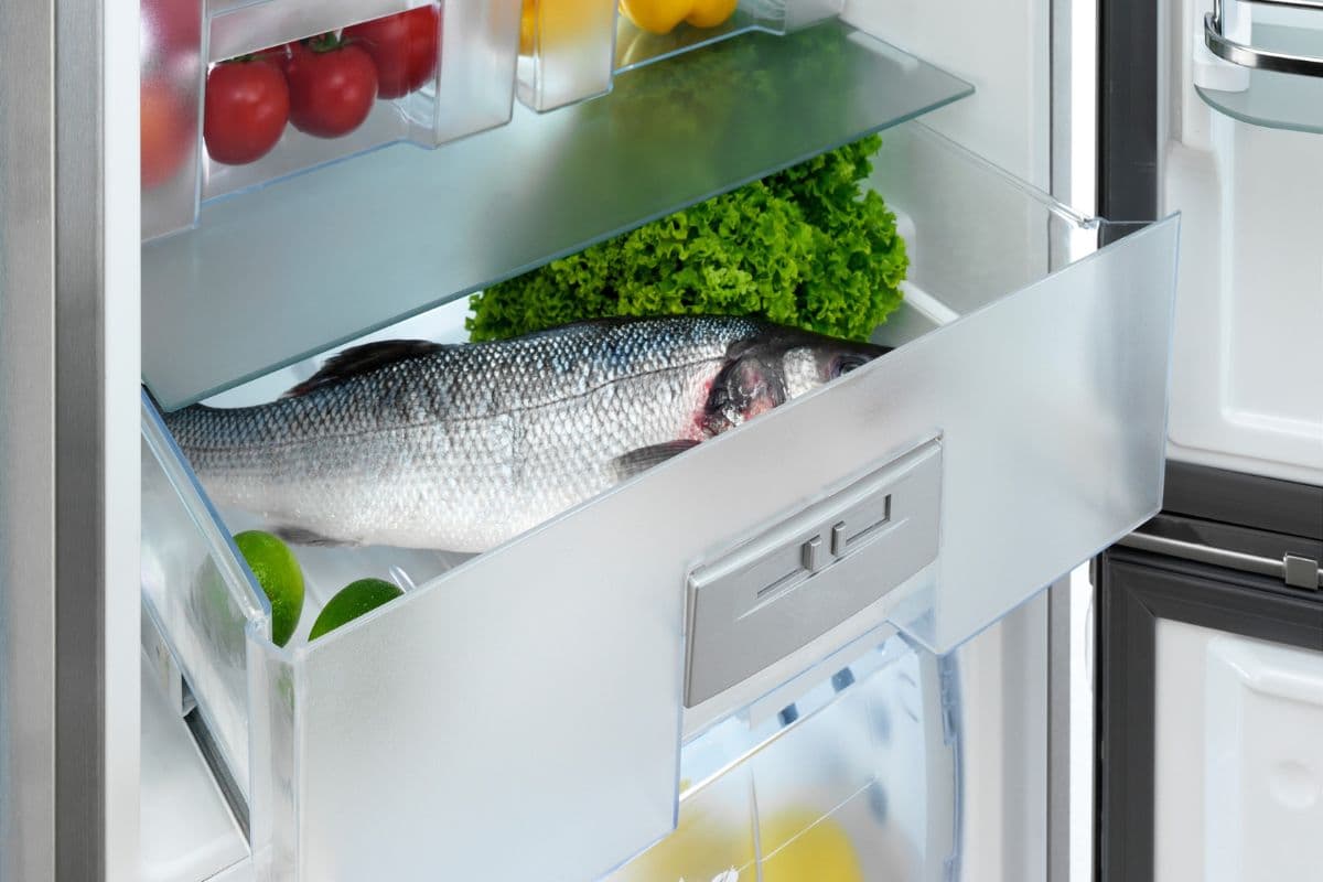 How Long Does Fish Last in the Fridge? Raw vs. Cooked Survival Freedom
