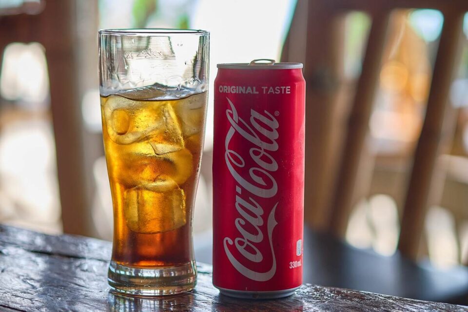 The 9 Best Chasers For Malibu Rum Survival Freedom