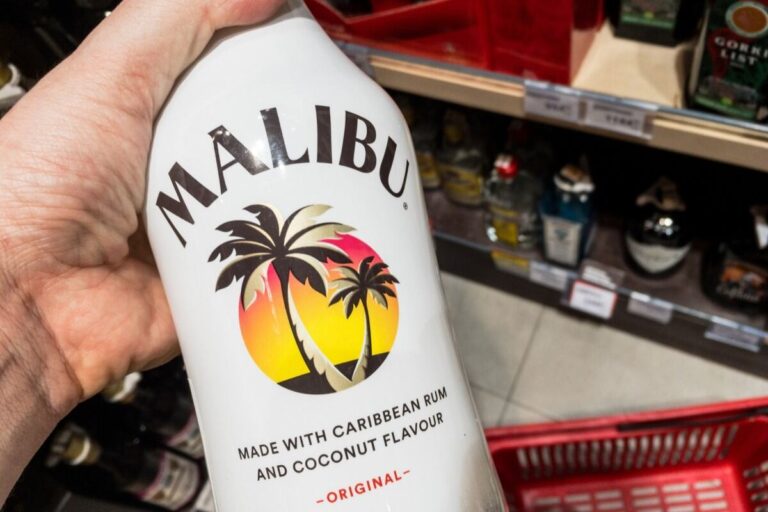 The 9 Best Chasers For Malibu Rum Survival Freedom