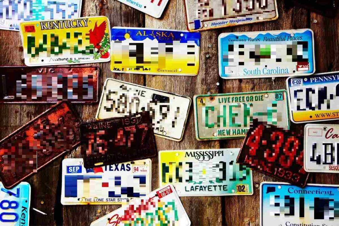 16 Great Hunting License Plates Ideas Survival Freedom