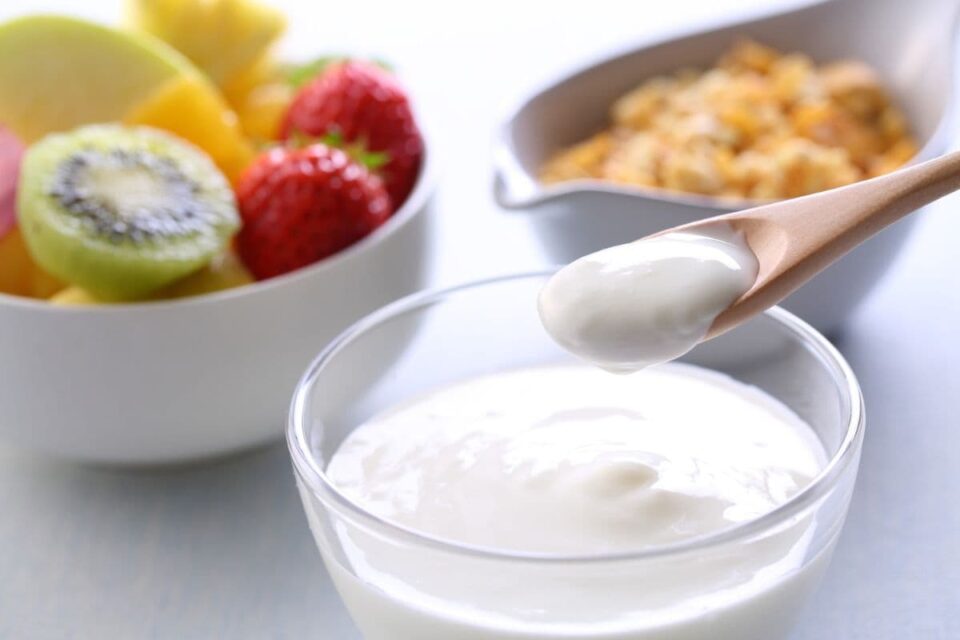 The 11 Best HighProtein NonDairy Yogurts Survival Freedom