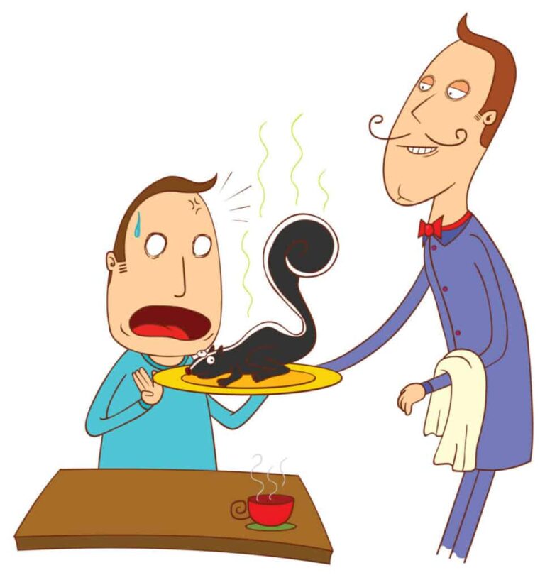 Can You Eat Skunk? | What You Need to Know - Survival Freedom