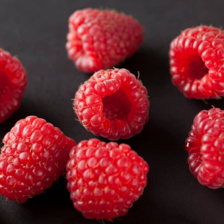 Are Red Berries Edible or Not? What You Need to Know Survival Freedom