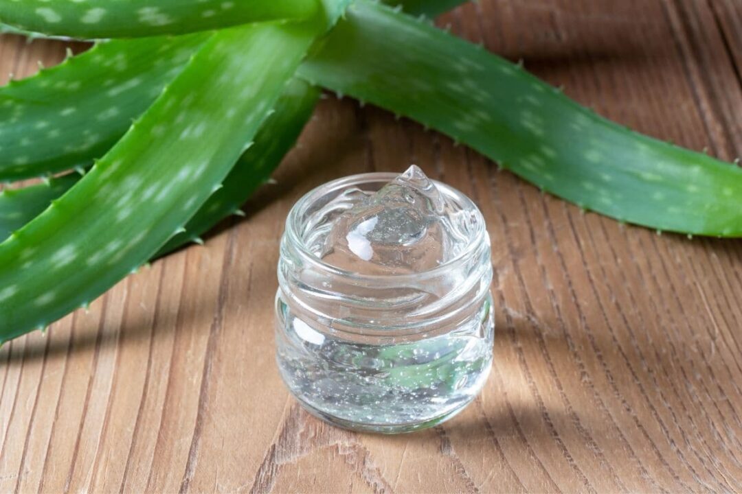 The 7 Best Substitutes for Aloe vera Gel Survival Freedom