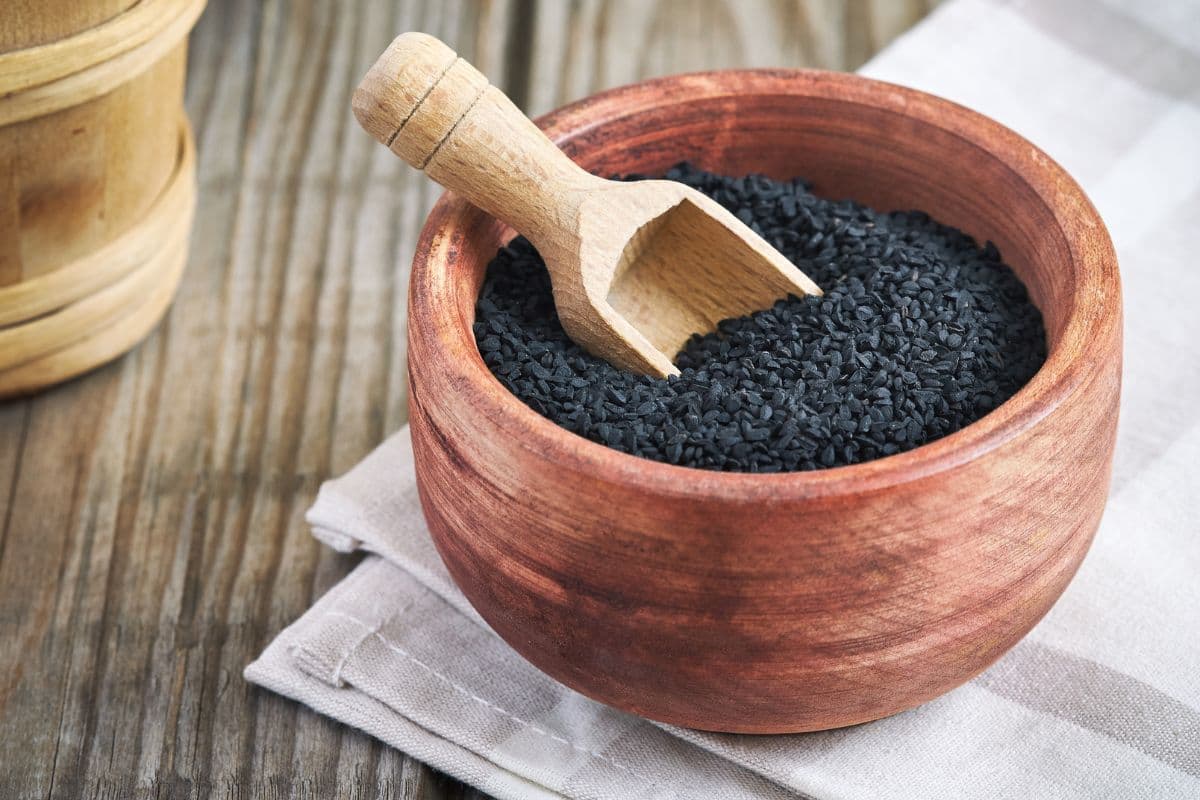 The 9 Best Similar Substitutes for Poppy Seeds Survival Freedom