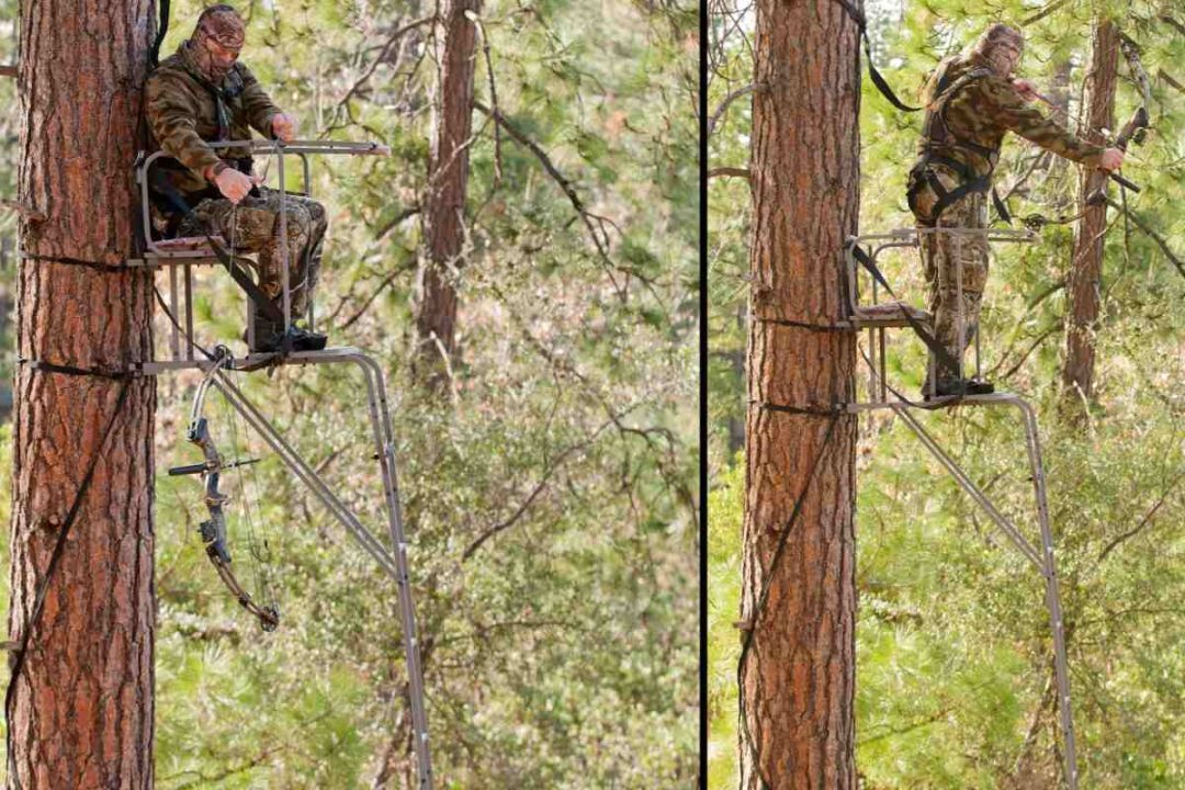 A Bowhunter’s Guide to Tree Stand Heights Survival Freedom