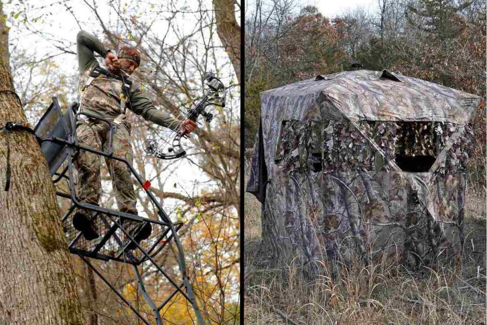 Hunting From Tree Stands vs Ground Blinds Pros & Cons Survival Freedom
